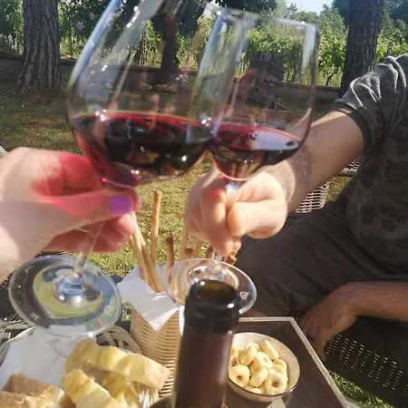 Il Fornello
